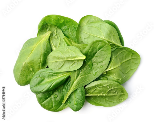 Fresh spinach with water drops