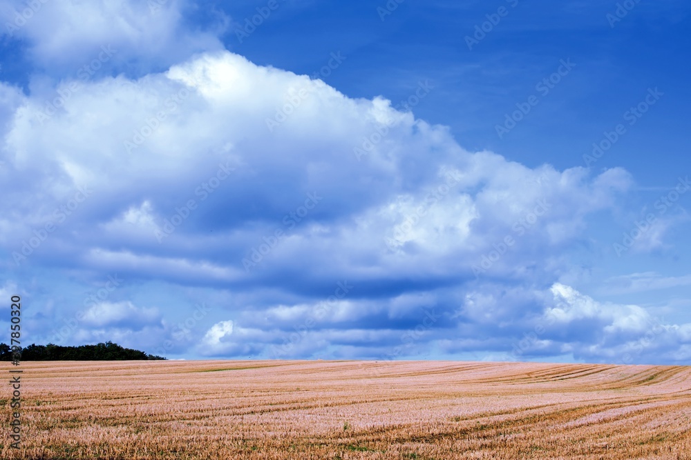 Freshly cut wheat field with beautiful blue cloudy skies. Freshly cut wheat field with beautiful blue cloudy skies.