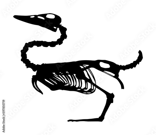 duck skeleton, black on white background