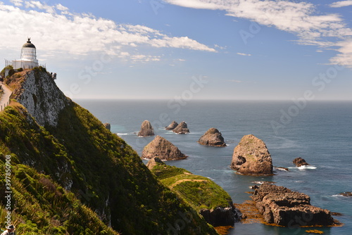 View from Nugget Point in Otago, New Zealand photo