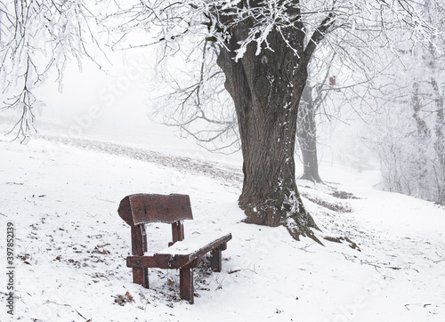 Bench in the public park in...