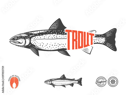 Vector rainbow trout flat style label isolated on a white background. Trout raw steak and fish illustration