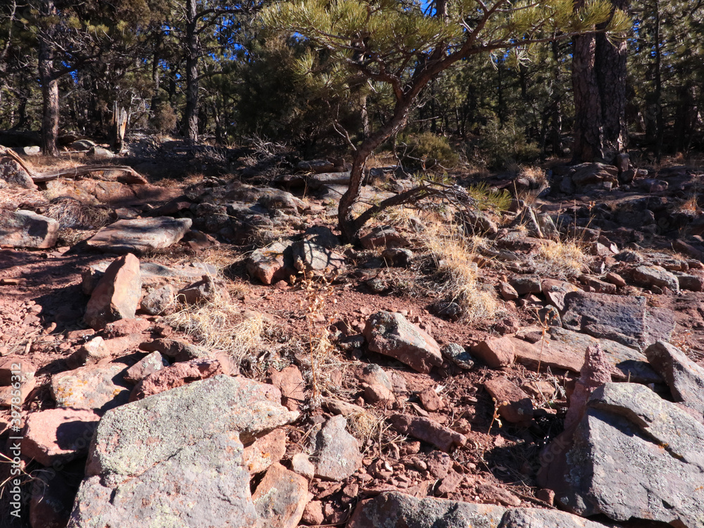 Mountain Hiking Area Rocks and Trees Mountain Hiking Area Rocks and Trees
