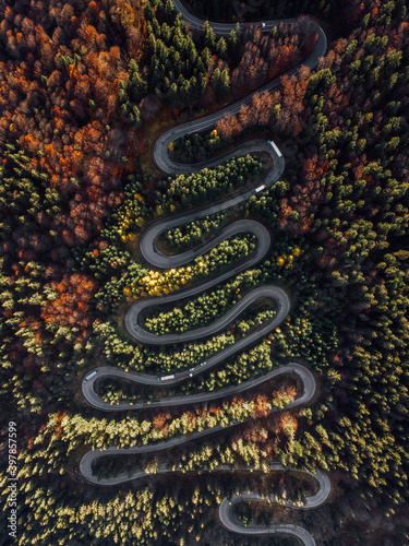 Curved road trough the colo...