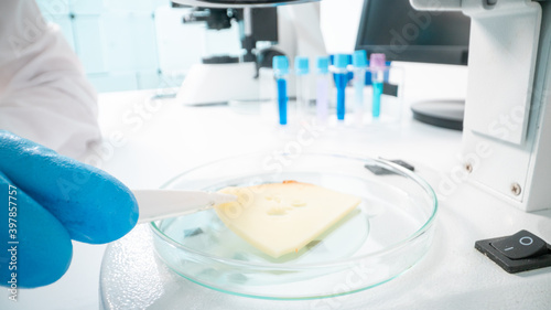 Cheese quality inspection in a quality control laboratory © luchschenF