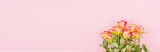 Rose flowers on a banner background