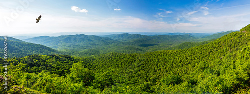 Принти на полотні Blue Ridge Mountain Overlook