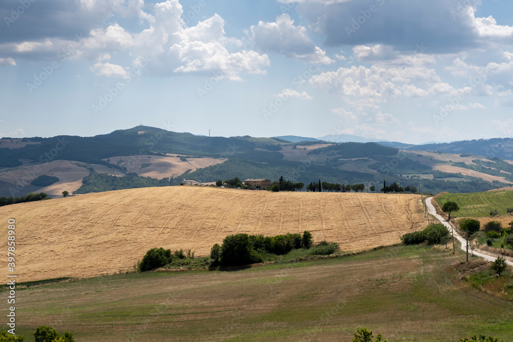 Fototapeta premium Traditional italian landscape during summer