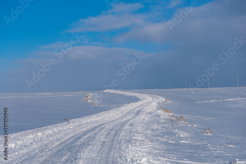 snow covered road at winter sunny day © MBAYSAN