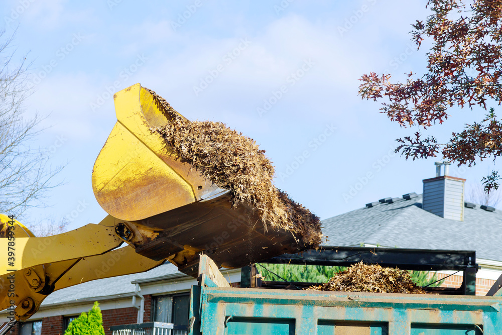 Seasonal work on loading fallen leaves with a tractor into the car ...