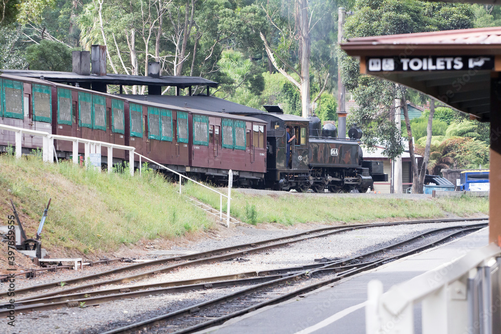 Obraz premium 26 January 2016: Belgrave is a suburb in Melbourne, Victoria, Australia; 26 January 2016: Belgrave is a suburb in Melbourne, Victoria, Australia;