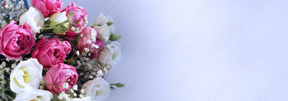 Fototapeta Festive flower arrangement - white and pink eustoms on a white background. Background for a holiday card.