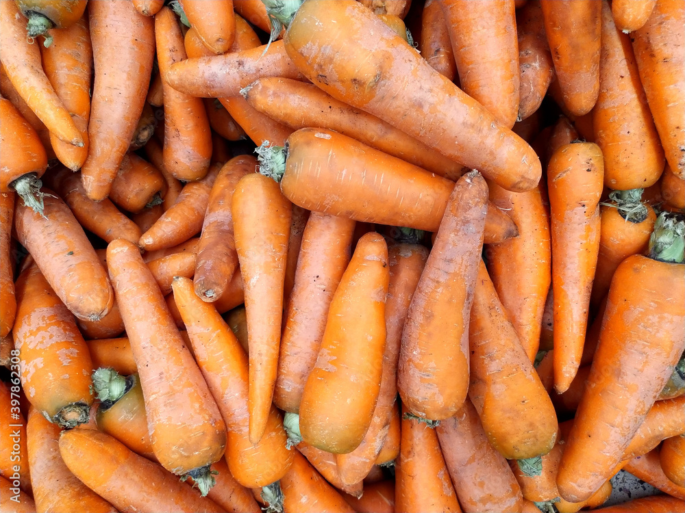 Carrots. Close-up. Food. Vegetables. A textured background of fresh large orange carrots. Background. Carrots peeled, clean. Takes up the whole frame. Vitamins. The view from the top Carrots. Close-up. Food. Vegetables. A textured background of fresh large orange carrots. Background. Carrots peeled, clean. Takes up the whole frame. Vitamins. The view from the top