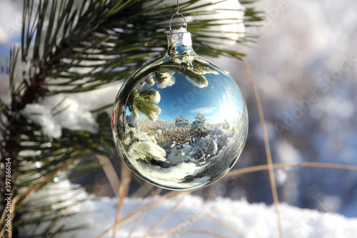 christmas toy on a branch