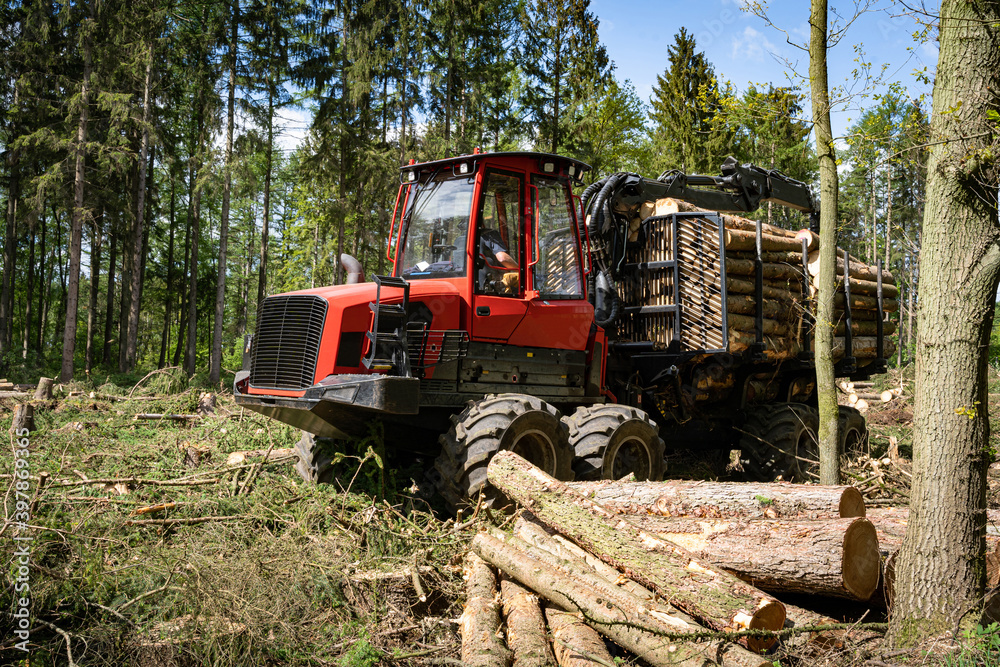 Borkenkäfer - Waldsterben, Vorwarder räumt gefälltes Fichtenholz aus dem Wald. Forsttechnisches Symbolfoto. Borkenkäfer - Waldsterben, Vorwarder räumt gefälltes Fichtenholz aus dem Wald. Forsttechnisches Symbolfoto.
