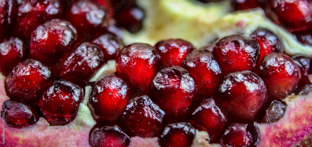 Banner. Close up of pomegranate seed. Open pomegranate fruit where ripe red pomegranate seeds are seen. Fruit pomegranate. Macro. Banner. Close up of pomegranate seed. Open pomegranate fruit where ripe red pomegranate seeds are seen. Fruit pomegranate. Macro.