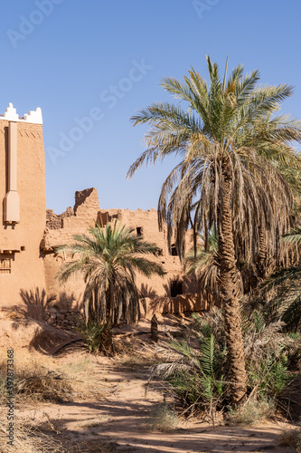 palm trees in the desert city Ushaiqer, Saudi Arabia