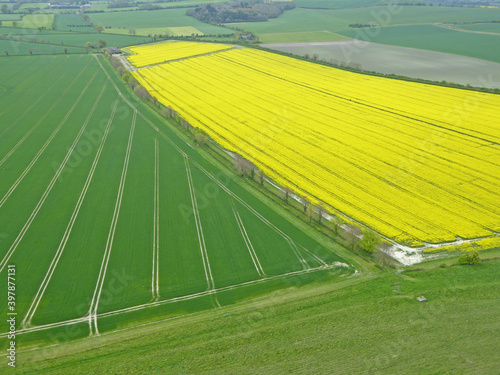 Aerial view of fields under cultivation