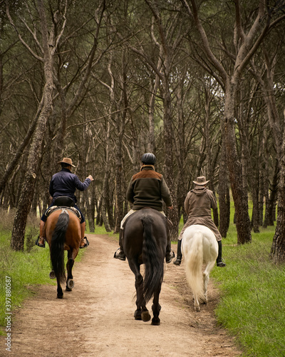 Three riders with their horses taking a walk in the woods