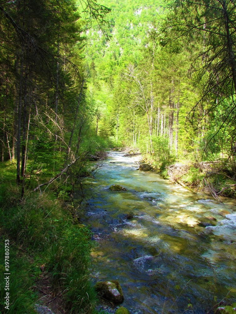 Obraz premium beautiful Kamniska Bistrica river in Slovenia