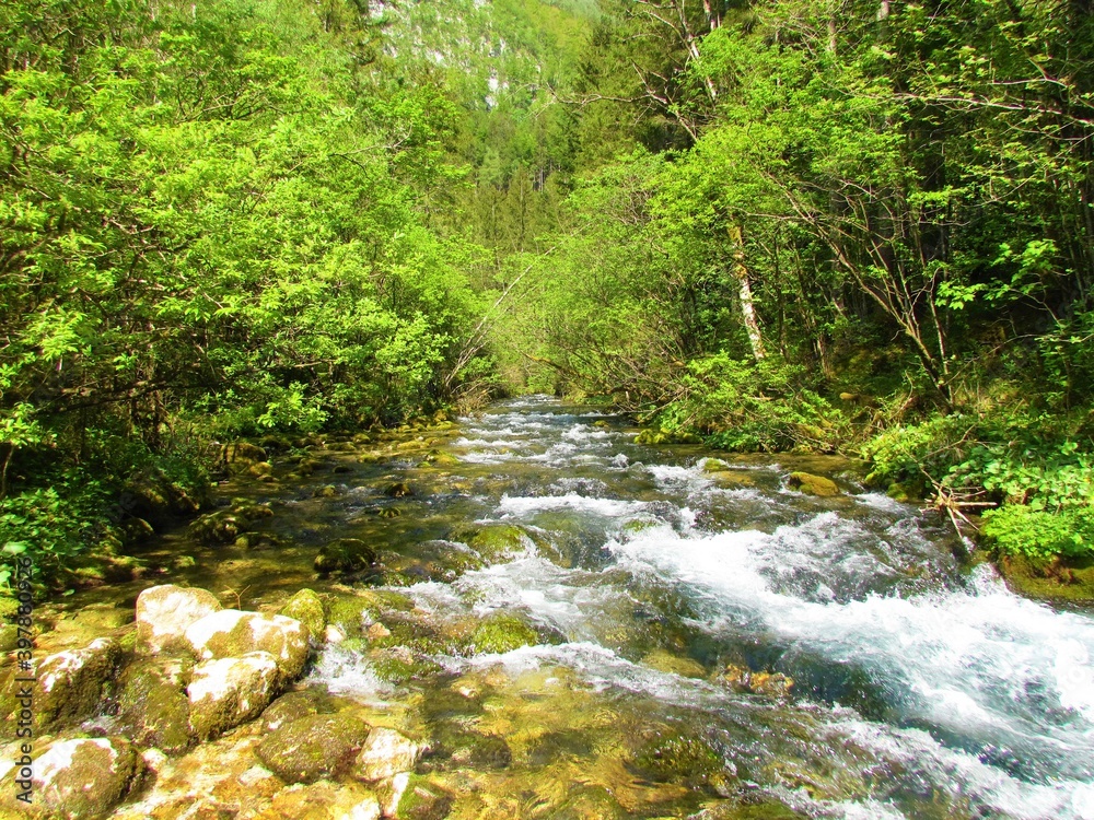 beautiful Kamniska Bistrica river in Slovenia beautiful Kamniska Bistrica river in Slovenia
