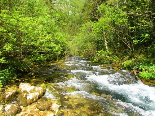 beautiful Kamniska Bistrica river in Slovenia