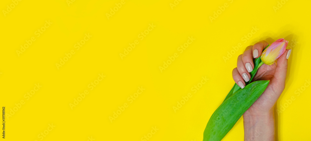 Fototapeta premium Female manicure on a bright background. Yellow