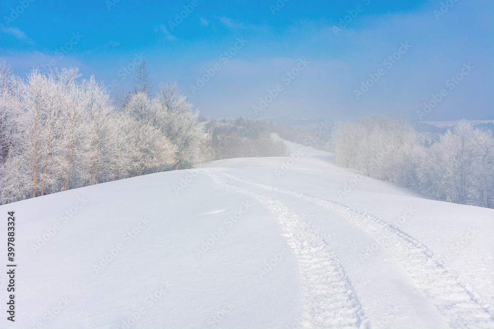 trees in hoarfrost on a snow covered hill. fairy tale winter mountain landscape. foggy weather on a sunny day