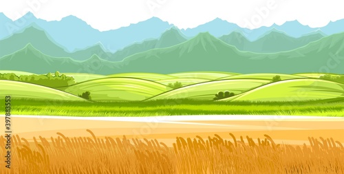 Wheat fields. Rural village landscape. Meadow hills and pastures. Ears of cereals: barley, rye. Summer rustic farm landscape. There are mountains on the horizon. Illustration. Vector