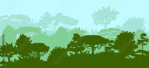 Deciduous forest. Silhouette. Mature, spreading trees. Thick thickets. Hills overgrown with plants. Sky. Vector