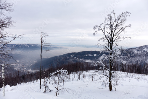 Fototapeta Naklejka Na Ścianę i Meble -  Winter panorama in the mountains after the first snowfall, view from the top. Valley covered with fog. Beskidy Mountains, Poland