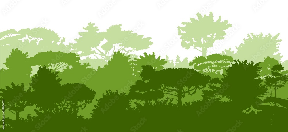 Deciduous forest. Silhouette. Mature, spreading trees. Thick thickets. Hills overgrown with plants. Isolated on a white background. Vector