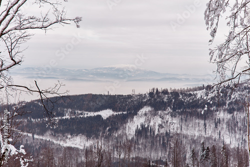 Fototapeta Naklejka Na Ścianę i Meble -  Winter panorama in the mountains after the first snowfall, view from the top. Valley covered with fog. Beskidy Mountains, Poland