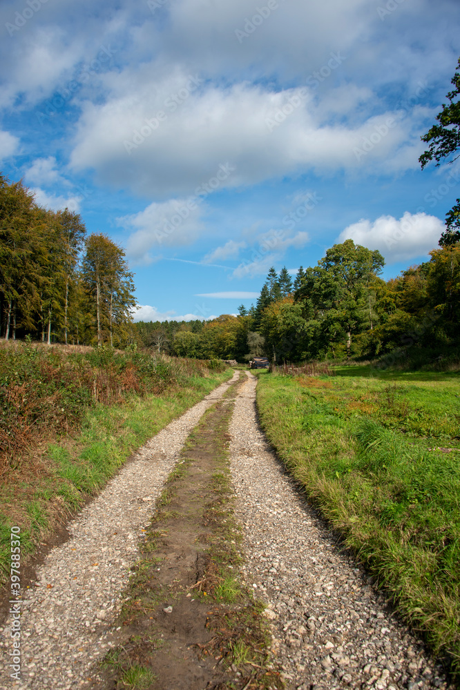 farm track in the Englisg countryside. Logging track