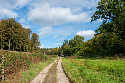 farm track in the Englisg countryside. Logging track