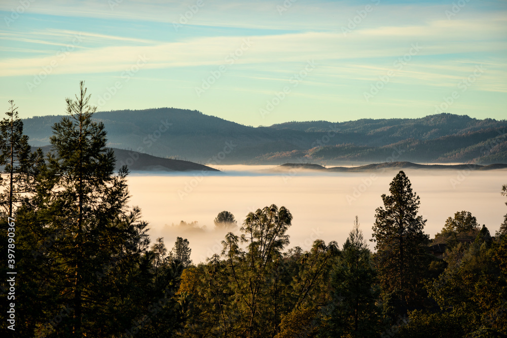 Morning fog in the valley