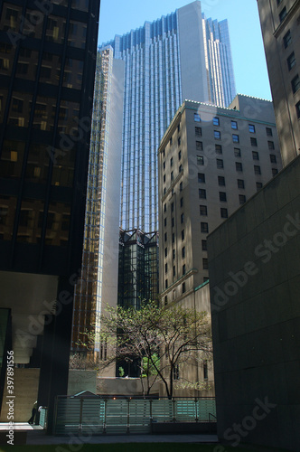 Man on lunch break and tree catching downtown Sun Rays