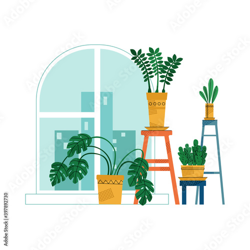 Vector flat isolated illustration with set of indoor plants in home interior, on background of window. Concept caring for plants, flowers, and breeding them.