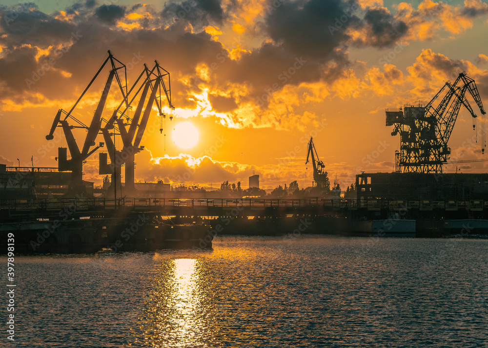 Fototapeta premium cranes in the port