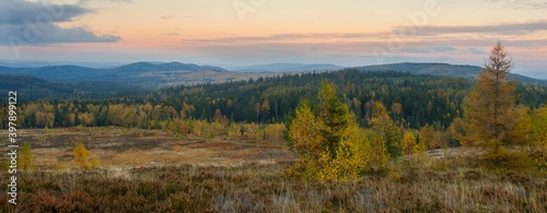View from the top of Houpák with large heath lands, target impact area Jordán in former military area, PLA Brdy (CHKO Brdy), photographed at blue hour after sunset, in autumn color photo