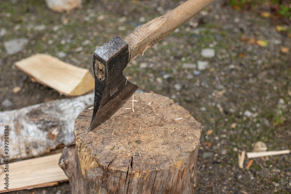 Axe slammed directly into the log. Cutting wood trunks. Axe slammed directly into the log. Cutting wood trunks.