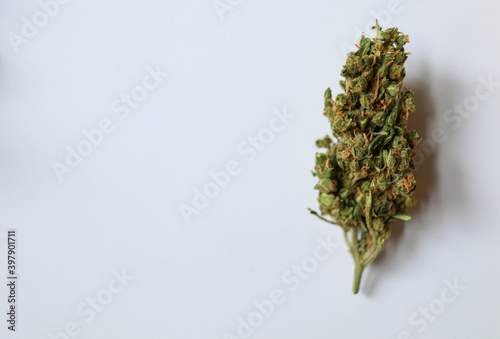 Medical marijuana flower buds placed on a white