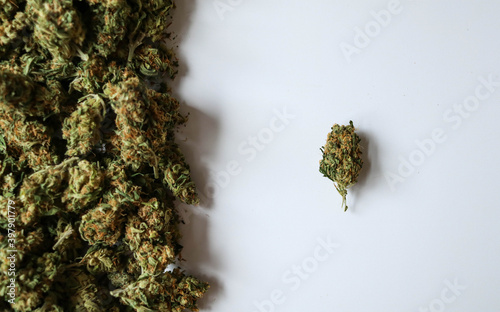 Medical marijuana flower buds placed on a white