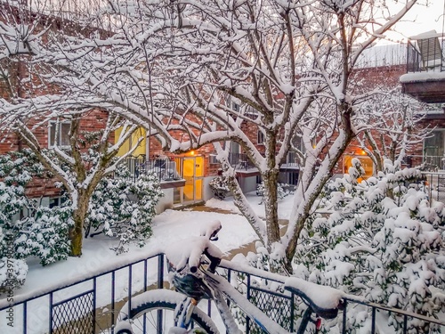 Snow covers the branches of a tree at an apartment complex