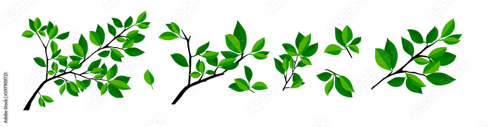 Summer tree branch with fresh green leaves. Vector illustration - obrazy, fototapety, plakaty 