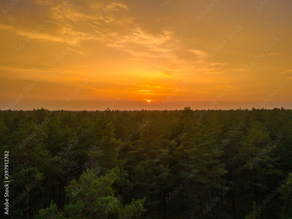 Aerial view of an orange sunset over the forest