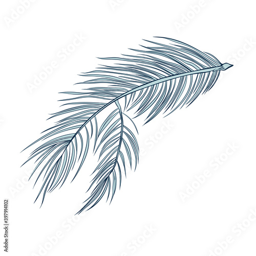 Fir cones set, pine tree branch spruces, vector line art decoration element for patterns and backgrounds. Fire cone or pinecone isolated design, modern trendy pastel green Christmas decor