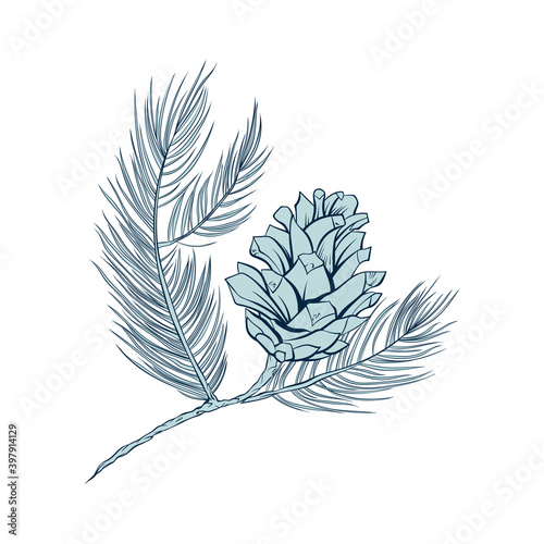 Fir cones set, pine tree branch spruces, vector line art decoration element for patterns and backgrounds. Fire cone or pinecone isolated design, modern trendy pastel green Christmas decor