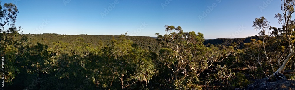 Breathtaking panoramic view of mountain and valley landscape on a clear blue sky day, Wideview Lookout, Berowra Heights, Berowra Valley National Park, Sydney, New South Wales, Australia
Breathtaking panoramic view of mountain and valley landscape on a clear blue sky day, Wideview Lookout, Berowra Heights, Berowra Valley National Park, Sydney, New South Wales, Australia