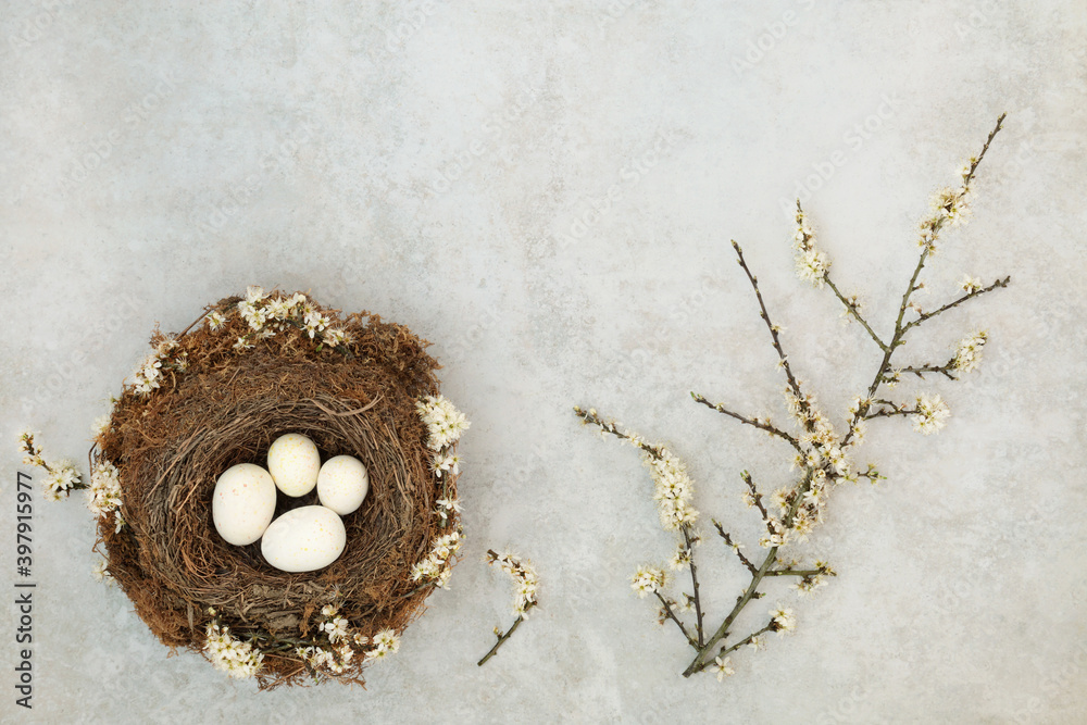 Spring birds nest with three white eggs & blackthorn blossom on mottled grey background with copy space. Zen springtime rebirth concept. Flat lay, top view. On mottled grey background. Spring birds nest with three white eggs & blackthorn blossom on mottled grey background with copy space. Zen springtime rebirth concept. Flat lay, top view. On mottled grey background.